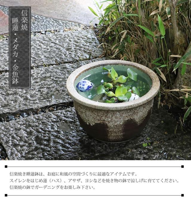 信楽焼き水鉢　すいれん鉢　金魚鉢　メダカ鉢　陶器睡蓮鉢　スイレン鉢