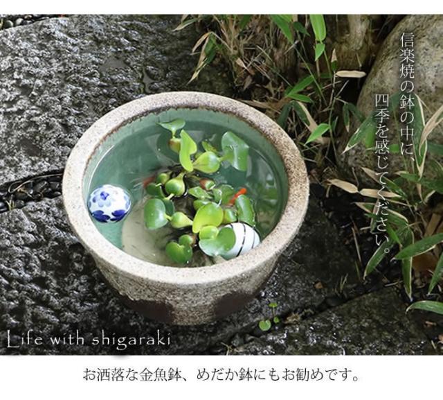 信楽焼き水鉢　すいれん鉢　金魚鉢　メダカ鉢　陶器睡蓮鉢　スイレン鉢
