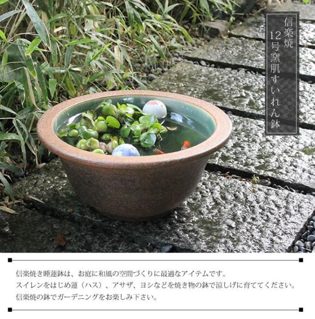 信楽焼き水鉢　すいれん鉢　金魚鉢　メダカ鉢　陶器睡蓮鉢　スイレン鉢
