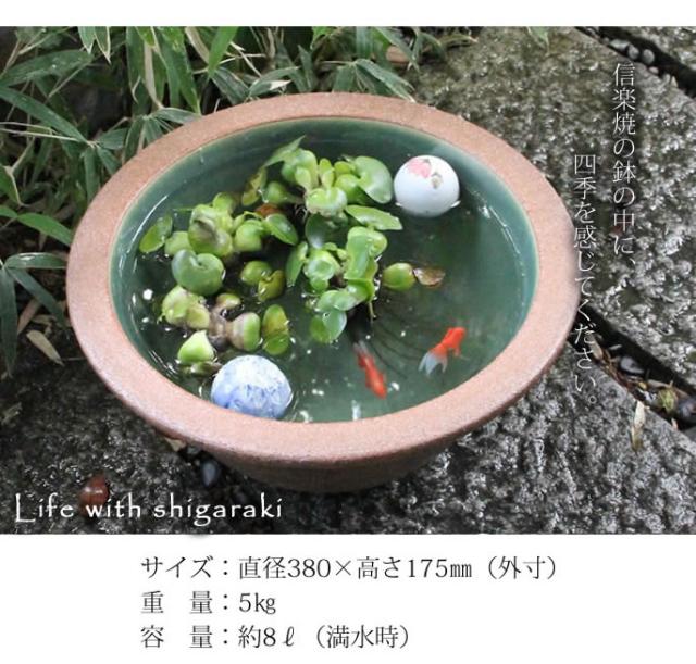 信楽焼き水鉢　すいれん鉢　金魚鉢　メダカ鉢　陶器睡蓮鉢　スイレン鉢