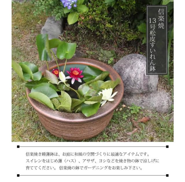 信楽焼き水鉢　すいれん鉢　金魚鉢　メダカ鉢　陶器睡蓮鉢　スイレン鉢