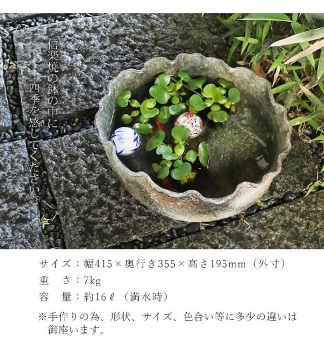 信楽焼き水鉢　すいれん鉢　金魚鉢　メダカ鉢　陶器睡蓮鉢　スイレン鉢