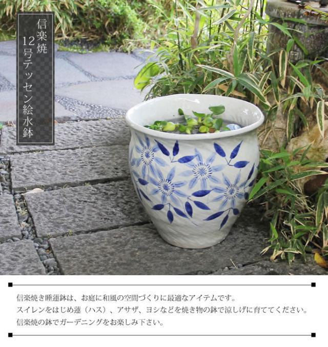 信楽焼き水鉢　すいれん鉢　金魚鉢　メダカ鉢　陶器睡蓮鉢　スイレン鉢