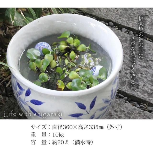 信楽焼き水鉢　すいれん鉢　金魚鉢　メダカ鉢　陶器睡蓮鉢　スイレン鉢