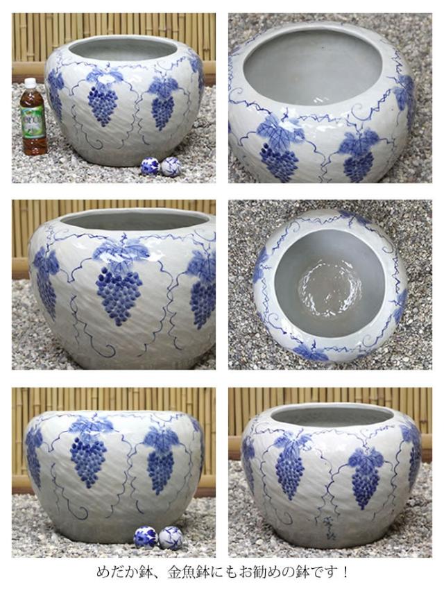 信楽焼き水鉢　すいれん鉢　金魚鉢　メダカ鉢　陶器睡蓮鉢　スイレン鉢