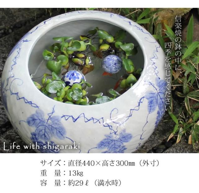 信楽焼き水鉢　すいれん鉢　金魚鉢　メダカ鉢　陶器睡蓮鉢　スイレン鉢
