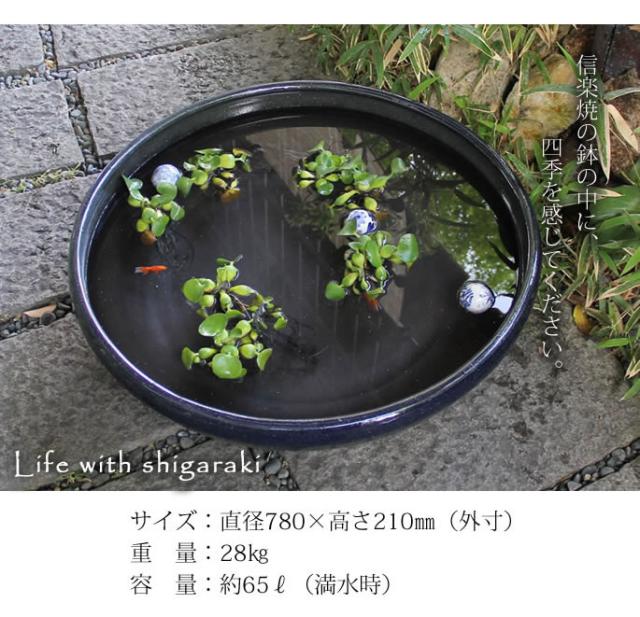 信楽焼き水鉢　すいれん鉢　金魚鉢　メダカ鉢　陶器睡蓮鉢　スイレン鉢
