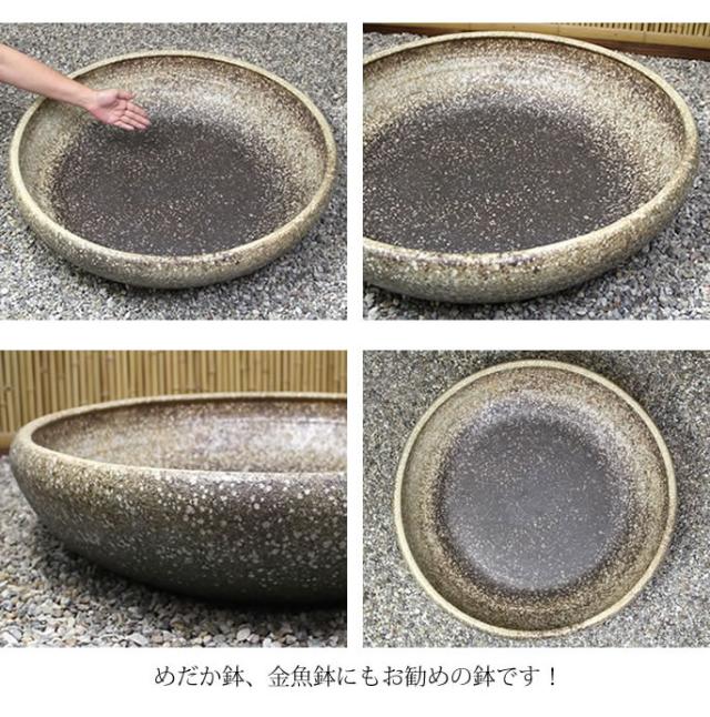 信楽焼き水鉢　すいれん鉢　金魚鉢　メダカ鉢　陶器睡蓮鉢　スイレン鉢