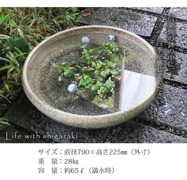 信楽焼き水鉢　すいれん鉢　金魚鉢　メダカ鉢　陶器睡蓮鉢　スイレン鉢