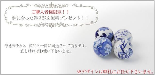 信楽焼き水鉢 すいれん鉢 金魚鉢 メダカ鉢 陶器睡蓮鉢 スイレン鉢