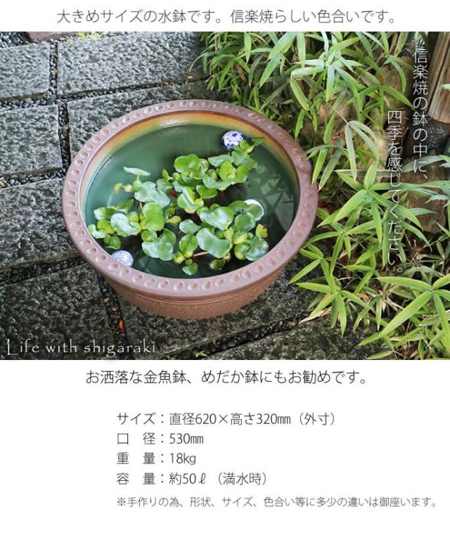 信楽焼き水鉢　すいれん鉢　金魚鉢　メダカ鉢　陶器睡蓮鉢　スイレン鉢