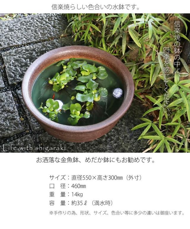 信楽焼き水鉢 すいれん鉢 金魚鉢 メダカ鉢 陶器睡蓮鉢 スイレン鉢