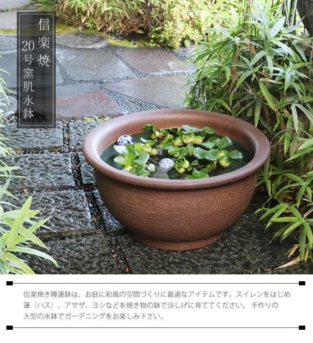 信楽焼き水鉢　すいれん鉢　金魚鉢　メダカ鉢　陶器睡蓮鉢　スイレン鉢