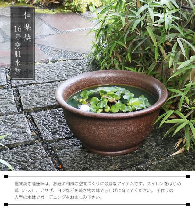 信楽焼き水鉢　すいれん鉢　金魚鉢　メダカ鉢　陶器睡蓮鉢　スイレン鉢