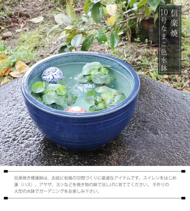 なまこ鉢 462 盆栽 盆栽鉢 植木鉢 中国鉢 海鼠 ナマコ 462 盆栽 盆栽鉢
