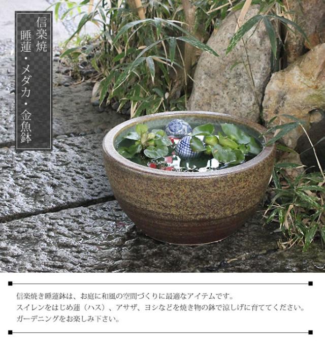 信楽焼き水鉢 すいれん鉢 金魚鉢 メダカ鉢 陶器睡蓮鉢 スイレン鉢
