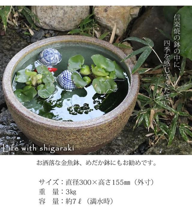 信楽焼き水鉢 すいれん鉢 金魚鉢 メダカ鉢 陶器睡蓮鉢 スイレン鉢