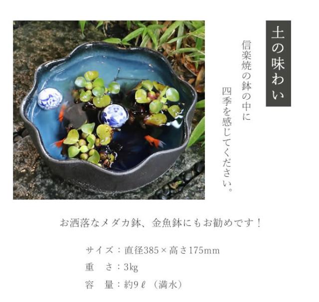 信楽焼き水鉢　すいれん鉢　金魚鉢　メダカ鉢　陶器睡蓮鉢　スイレン鉢