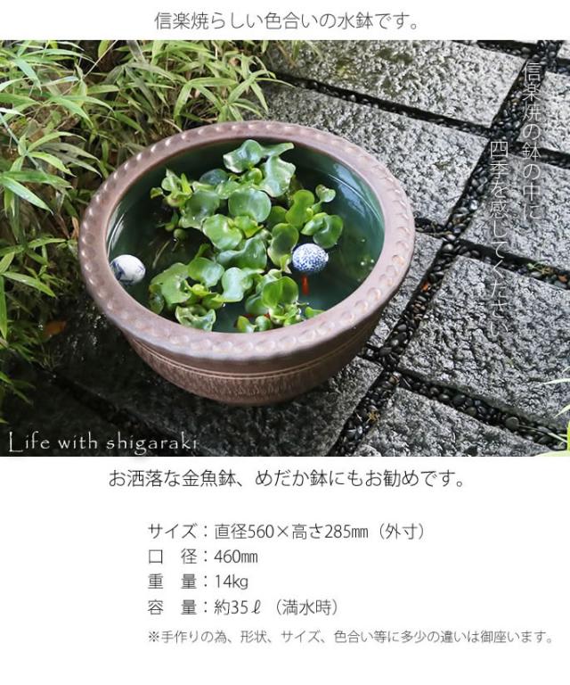信楽焼き水鉢　すいれん鉢　金魚鉢　メダカ鉢　陶器睡蓮鉢　スイレン鉢