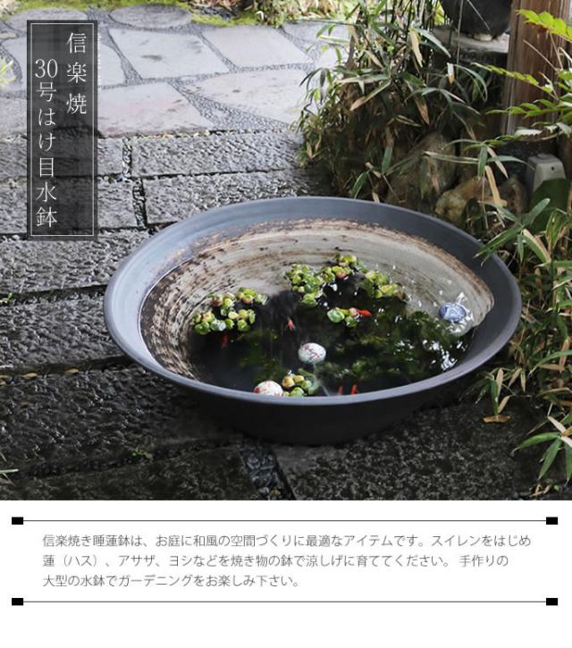 信楽焼き水鉢　すいれん鉢　金魚鉢　メダカ鉢　陶器睡蓮鉢　スイレン鉢