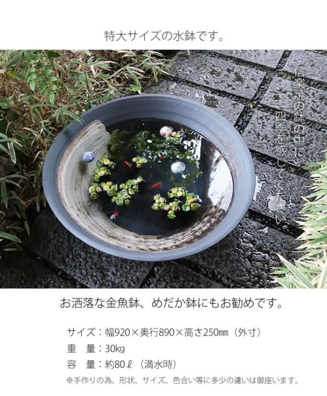 信楽焼き水鉢　すいれん鉢　金魚鉢　メダカ鉢　陶器睡蓮鉢　スイレン鉢