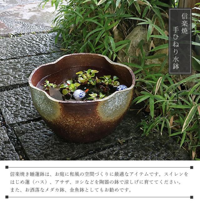 信楽焼き水鉢　すいれん鉢　金魚鉢　メダカ鉢　陶器睡蓮鉢　スイレン鉢