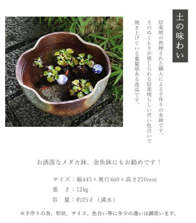 信楽焼き水鉢　すいれん鉢　金魚鉢　メダカ鉢　陶器睡蓮鉢　スイレン鉢
