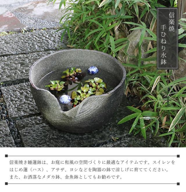 信楽焼き水鉢　すいれん鉢　金魚鉢　メダカ鉢　陶器睡蓮鉢　スイレン鉢