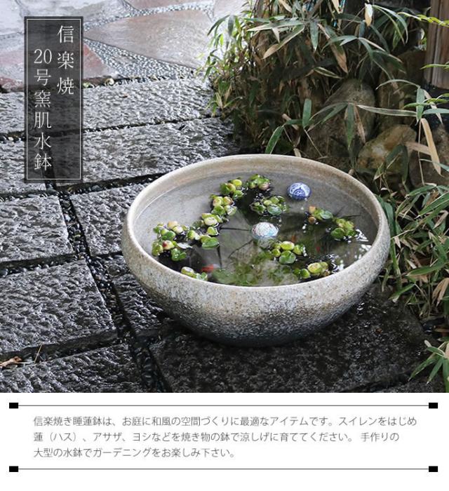信楽焼き水鉢　すいれん鉢　金魚鉢　メダカ鉢　陶器睡蓮鉢　スイレン鉢