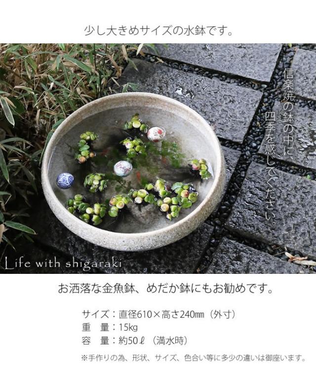 信楽焼き水鉢　すいれん鉢　金魚鉢　メダカ鉢　陶器睡蓮鉢　スイレン鉢