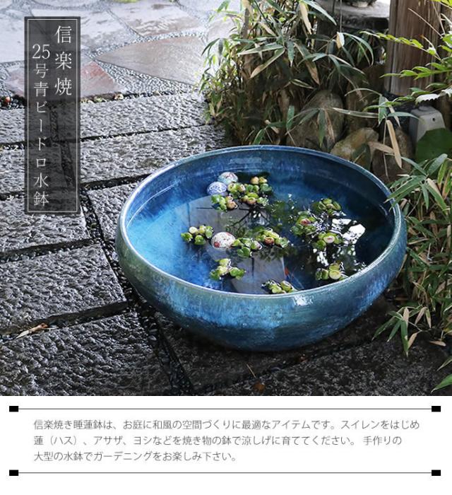 信楽焼き水鉢　すいれん鉢　金魚鉢　メダカ鉢　陶器睡蓮鉢　スイレン鉢