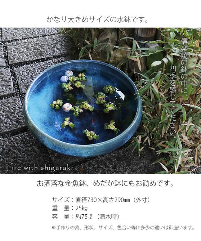 信楽焼き水鉢　すいれん鉢　金魚鉢　メダカ鉢　陶器睡蓮鉢　スイレン鉢
