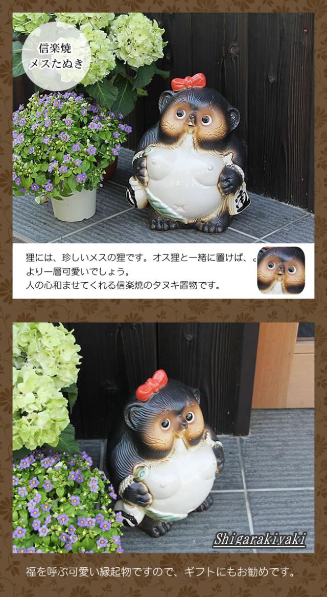 狸 たぬき 置物