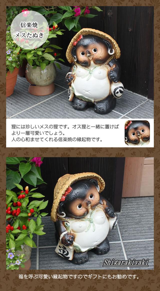 狸 たぬき 置物