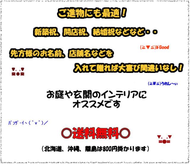 狸 たぬき 置物