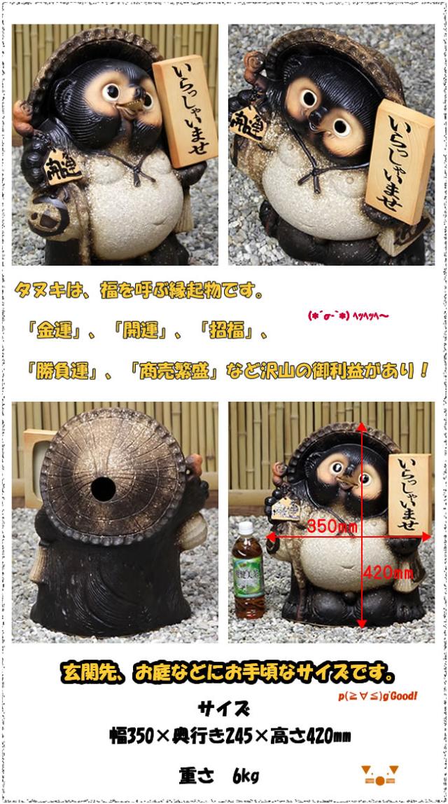 狸 たぬき 置物