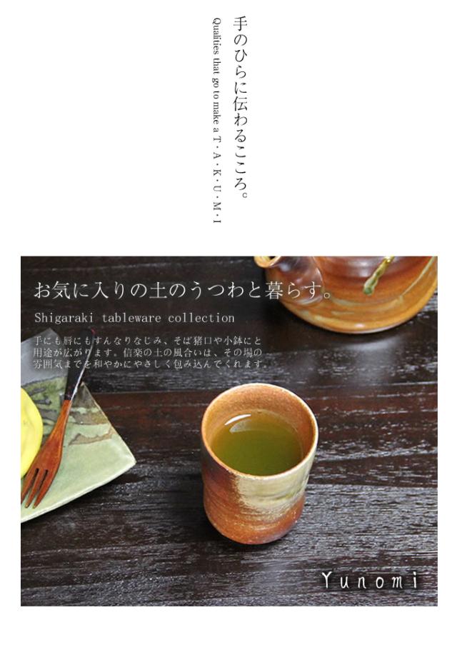 ゆのみ信楽焼湯呑陶器湯のみしがらき焼