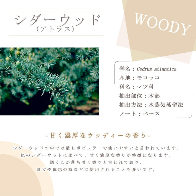 エッセンシャルオイル