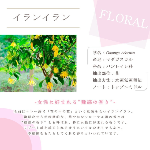 エッセンシャルオイル