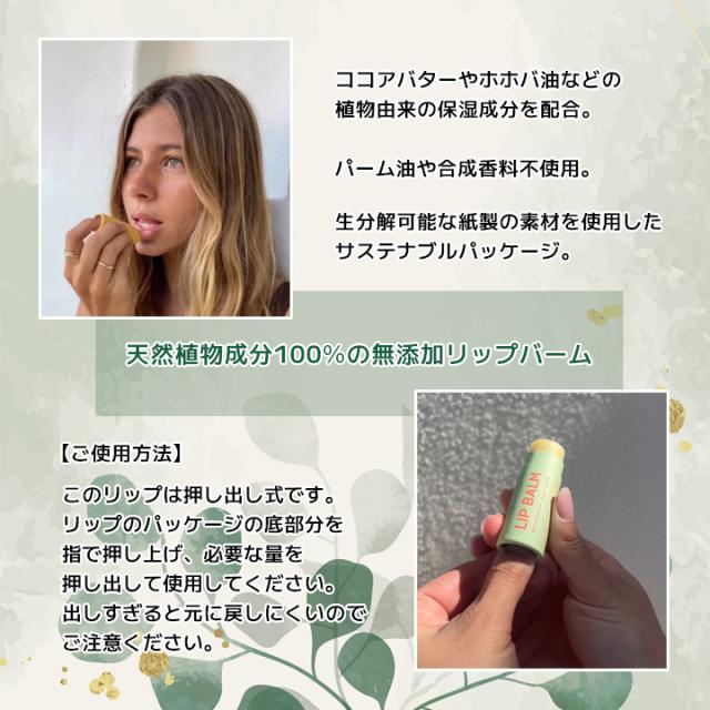 ヌーサベーシックス