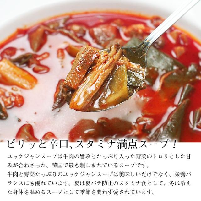 韓国直輸入辛口の本格ユッケジャンスープ