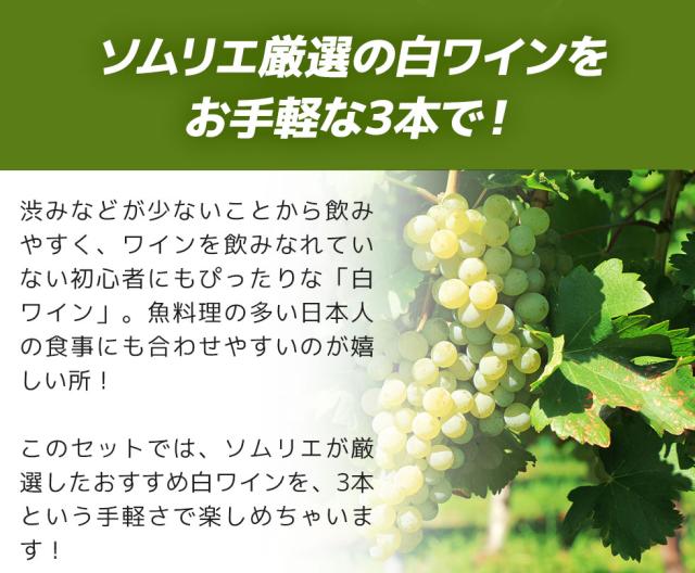 ソムリエ厳選の白ワイン