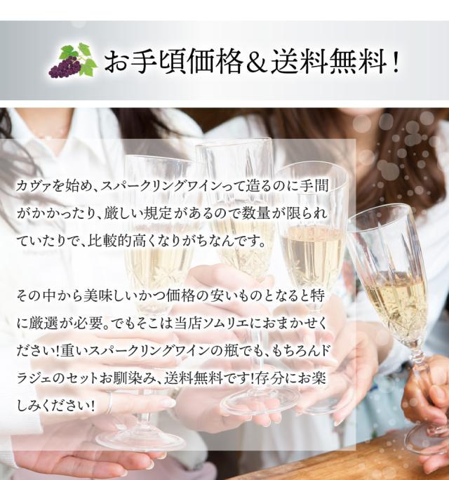 お手頃価格 リーズナブル 送料無料