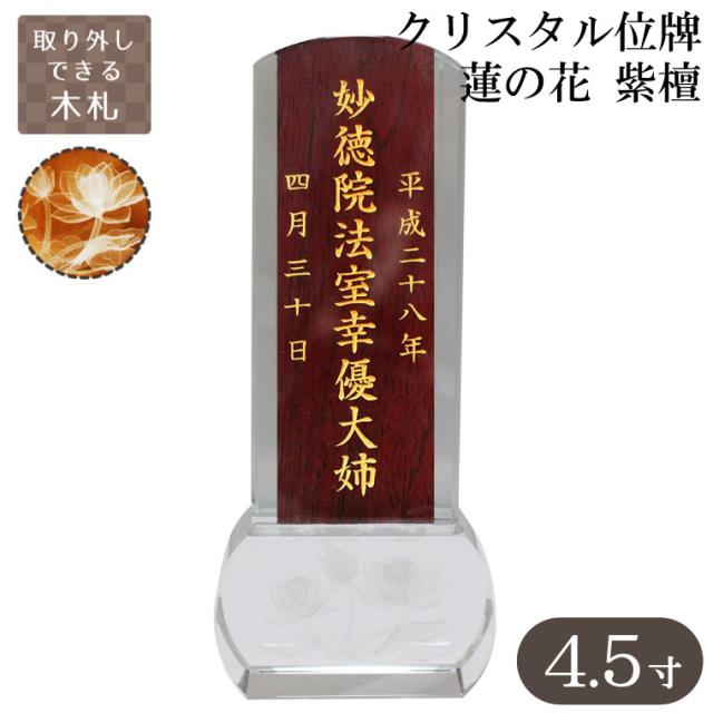 23769円 捧呈 業務用20セット ジョインテックス ミニほうき チリトリセット5個 N113J-5P 送料込 23769円 捧呈 業務用20セット ジョインテックス ミニほうき チリトリセット5個 N113J-5P 送料込