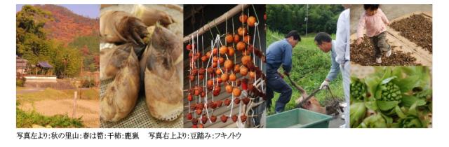 お取り寄せお米