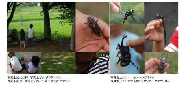 里山の自然環境