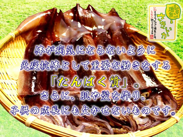 たんぱく質、免疫抗体として重要な働きをする