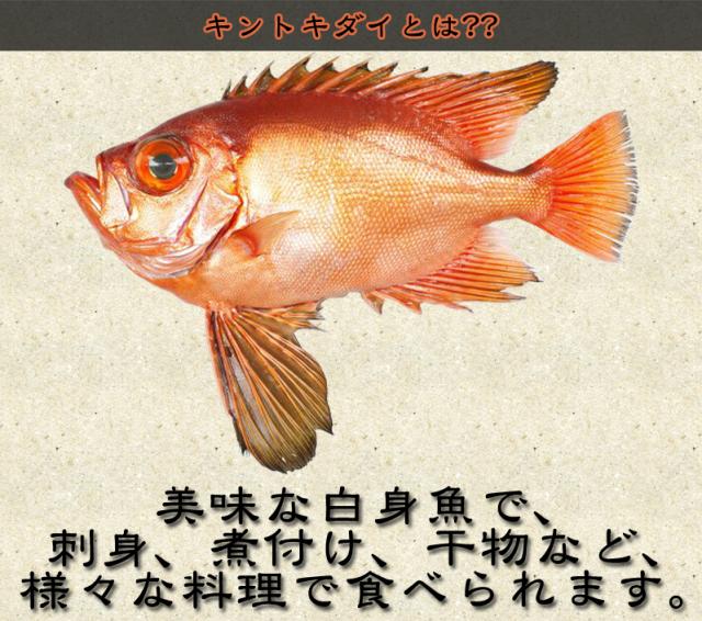 キントキダイの説明