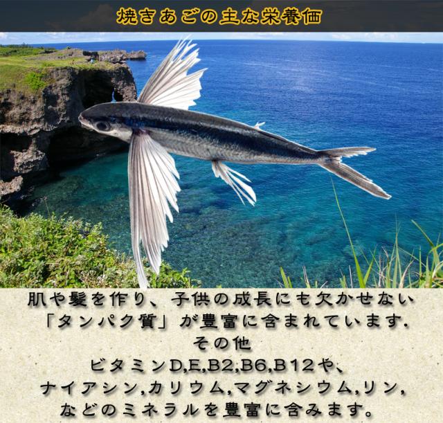 焼きあご 大容量 500g やきあご 個包装 焼飛魚 焼あご ピロ 日本酒に合う 焼酎に合う トビウオ 飛び魚 飛魚 おつまみ 珍味 の通販はau Wowma ワウマ おつまみギャラリー伊万里 商品ロットナンバー