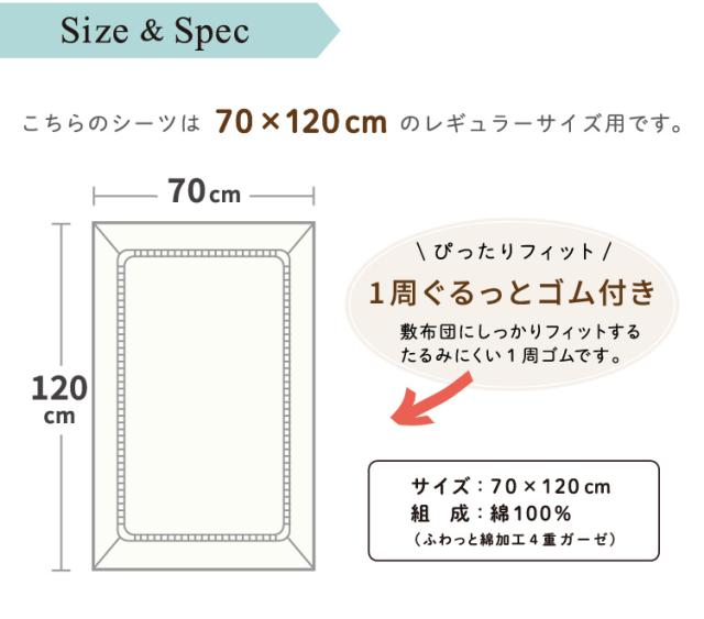 サイズ＆スペック